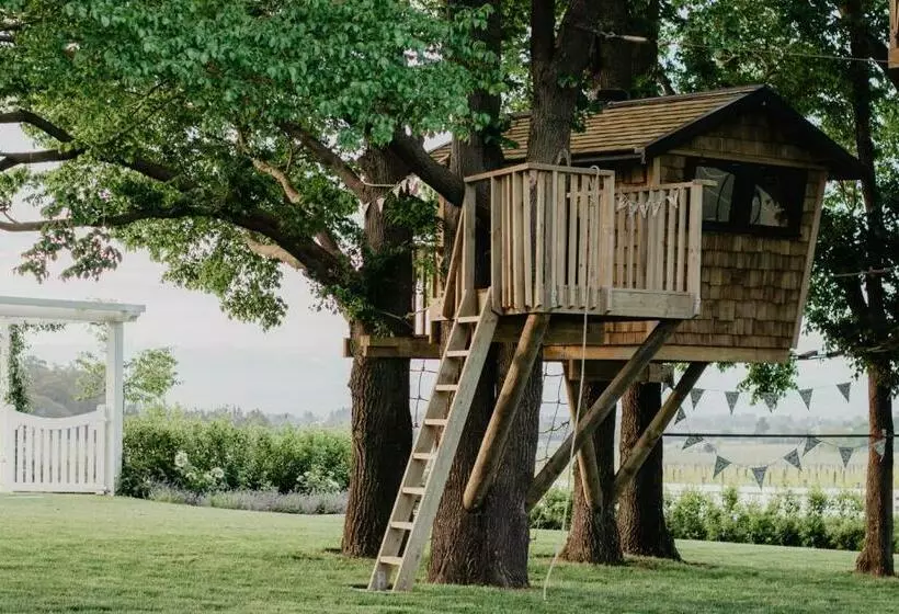 ペンション Te Mata House