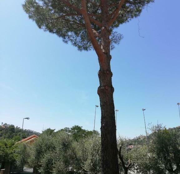 住宿加早餐 Ca Du Angiulin