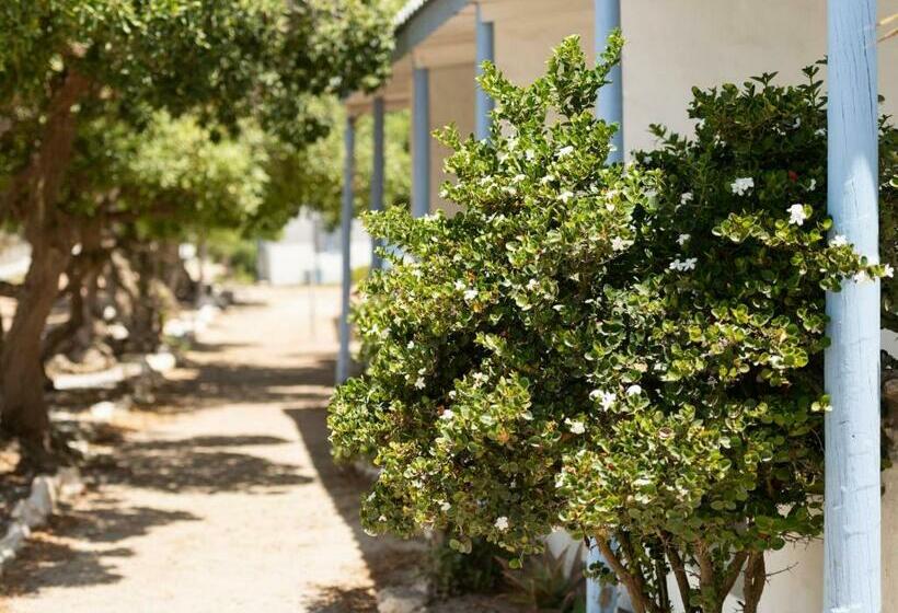 צימר Strandkombuis