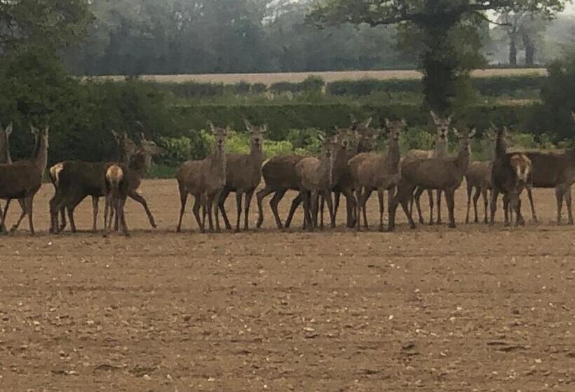 Bumble Barn Bed & Breakfast