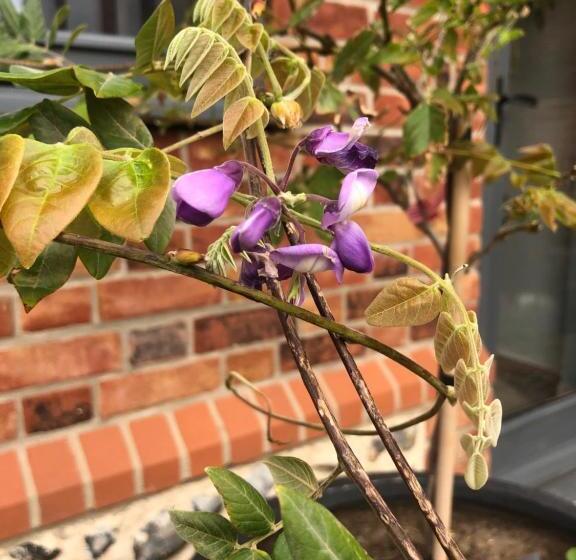 Bumble Barn Bed & Breakfast