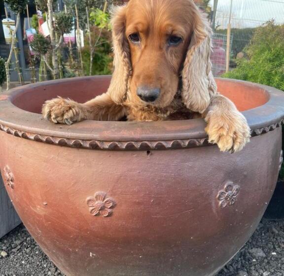 Bumble Barn Bed & Breakfast