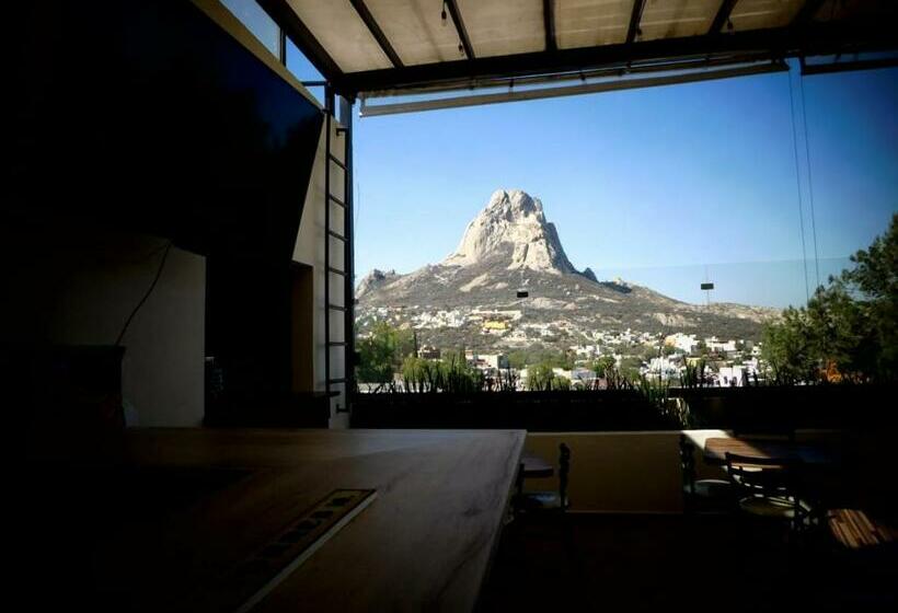 Otel Mr Lion And Spa