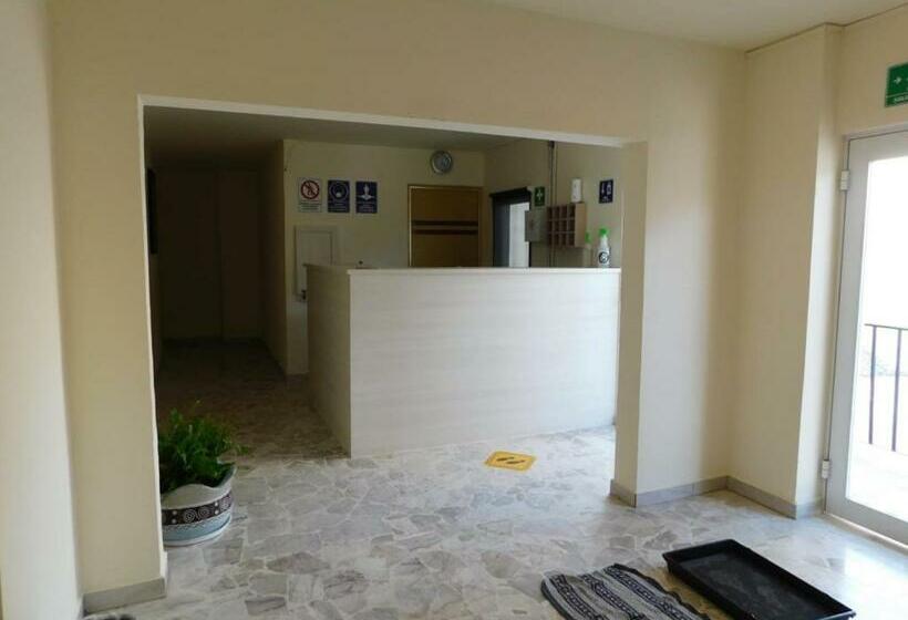 Otel Mr Lion And Spa