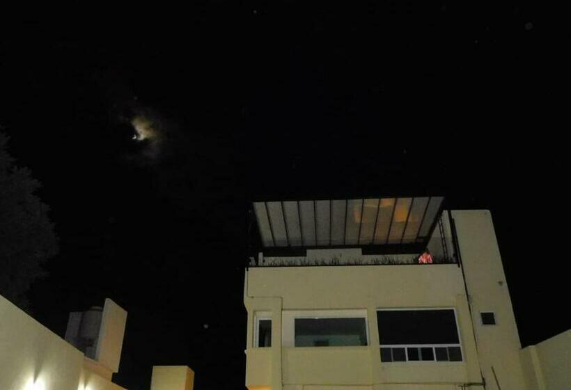 Otel Mr Lion And Spa