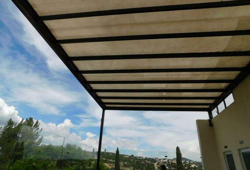 Otel Mr Lion And Spa