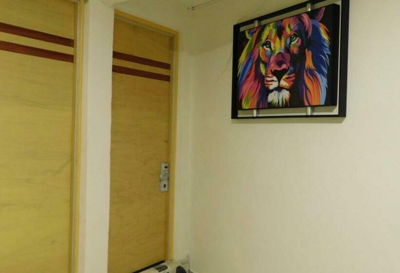 Otel Mr Lion And Spa