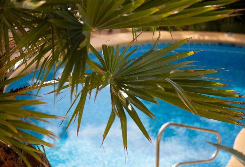 פנסיון Sueño Grande