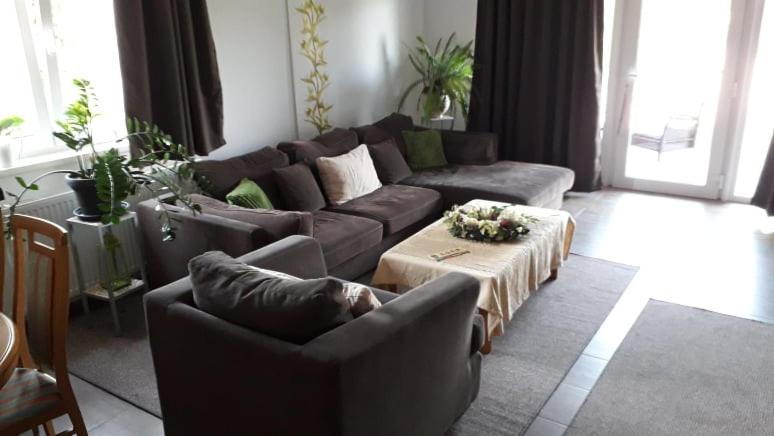 膳宿费 Villa Terrasse