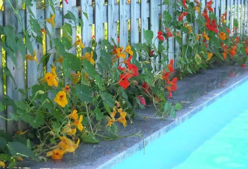 Gästehaus Elisabeth