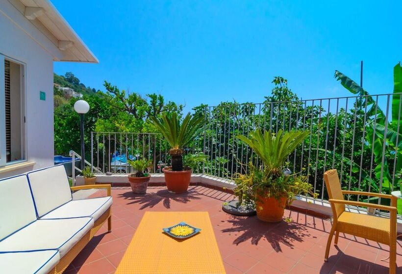 Отель Villa Giusto