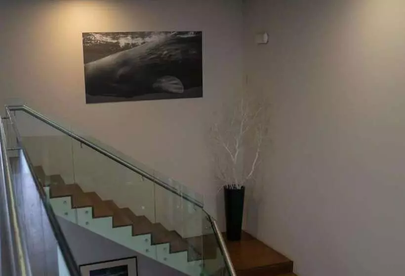 酒店 Inatel Flores