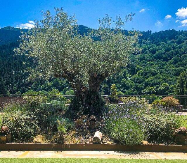 酒店 Komentu Maitea