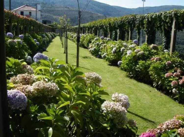 Inatel Linhares Da Beira Hotel Rural