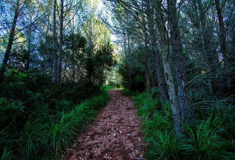 فندق S´hostal D´esporles