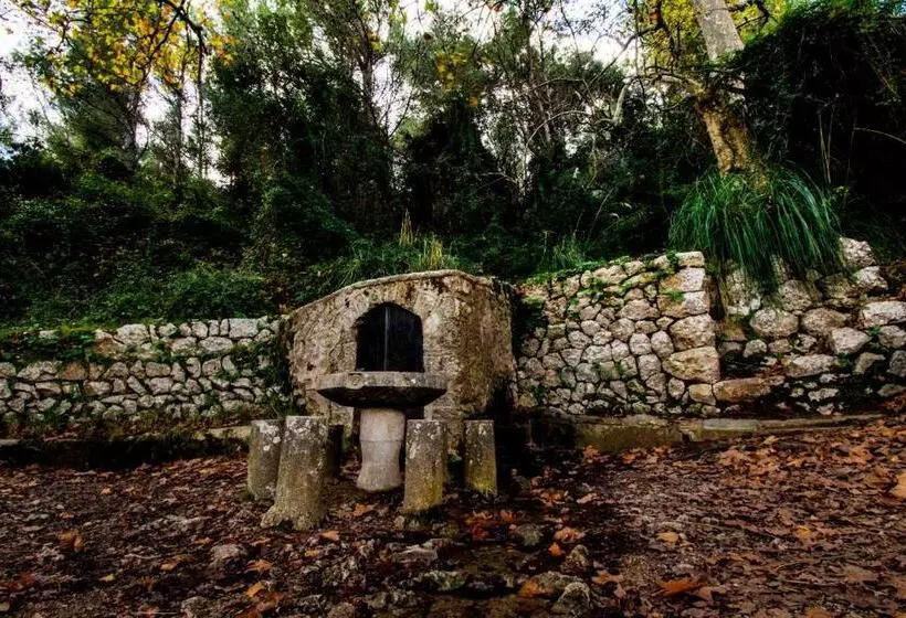 ホテル S´hostal D´esporles