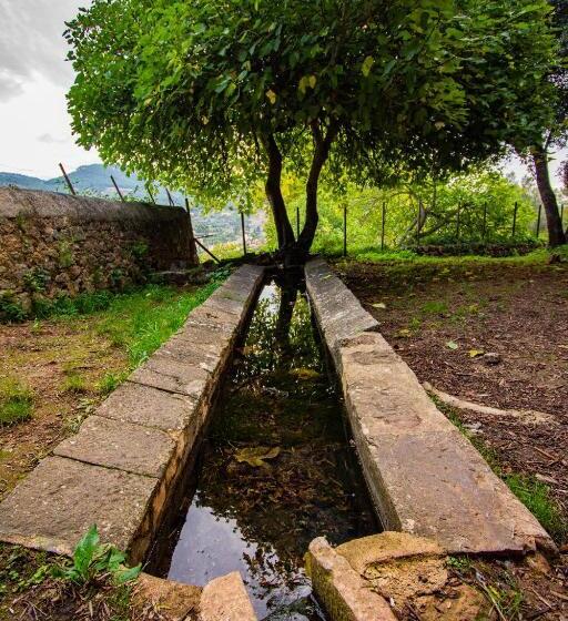 فندق S´hostal D´esporles