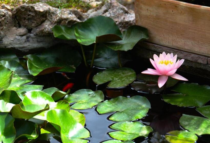 فندق S´hostal D´esporles