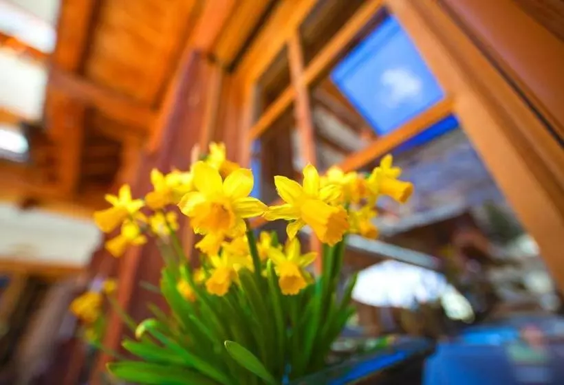 Sunstar Hotel Zermatt