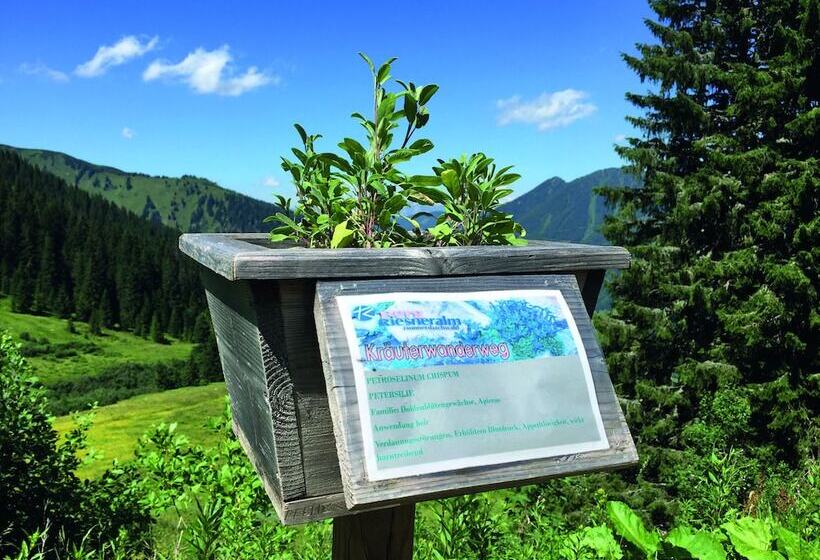 Jufa Hotel Donnersbachwald