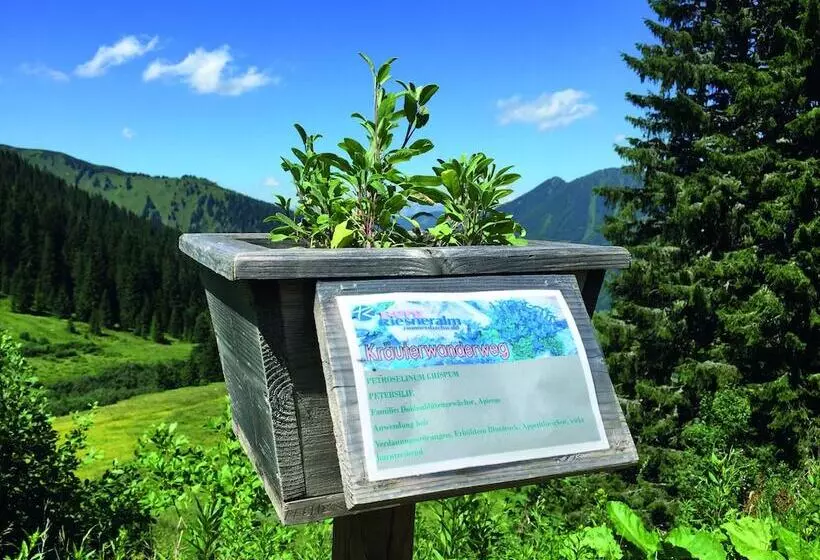 Jufa Hotel Donnersbachwald