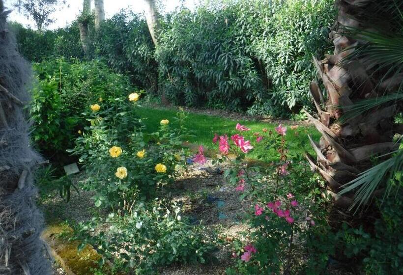 Bed and Breakfast Nerium House Relax