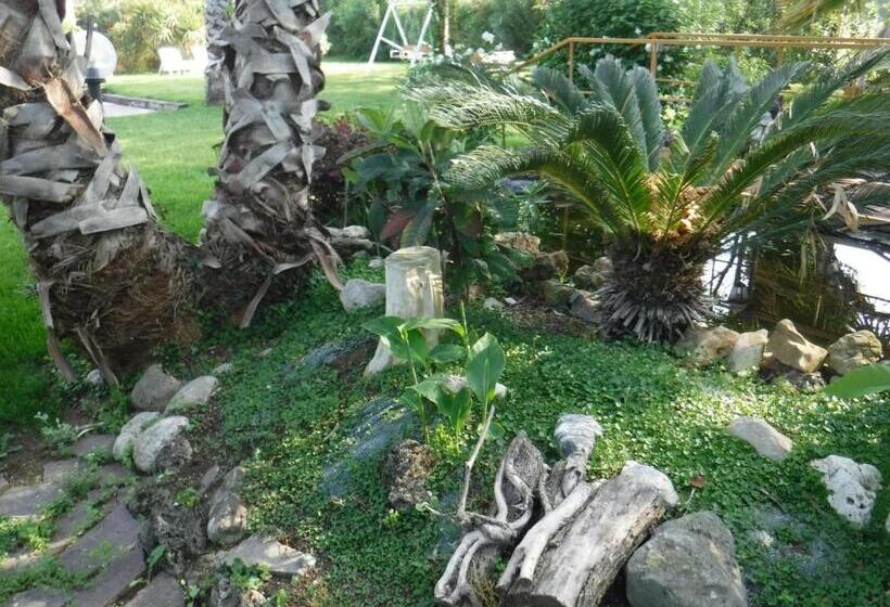 Bed and Breakfast Nerium House Relax