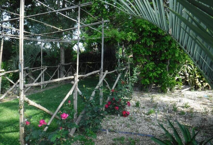 Bed and Breakfast Nerium House Relax