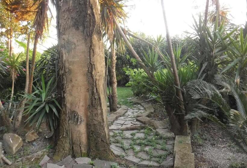 Bed and Breakfast Nerium House Relax