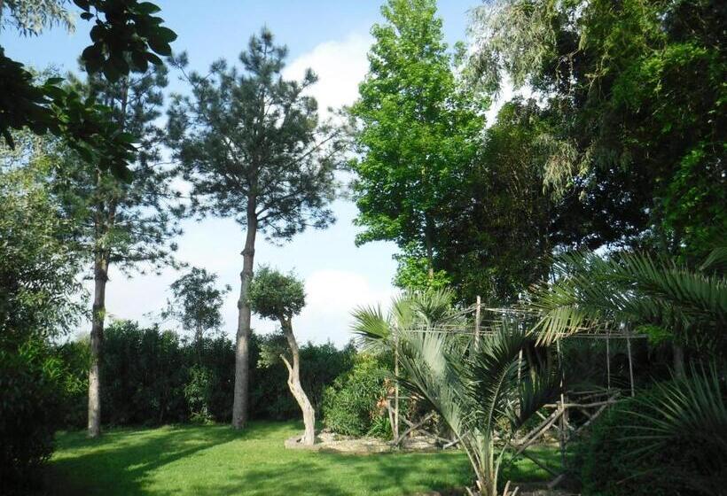 Bed and Breakfast Nerium House Relax