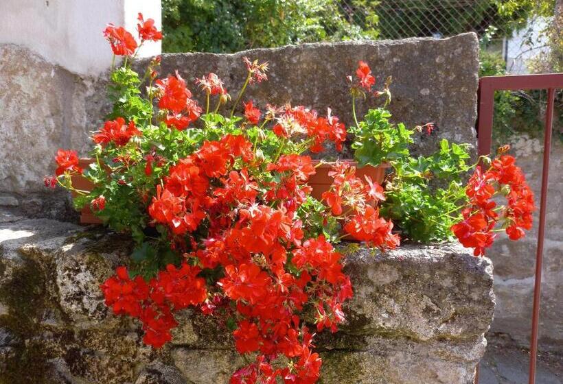 پانسیون Refúgio Do Anjo Alojamento Local