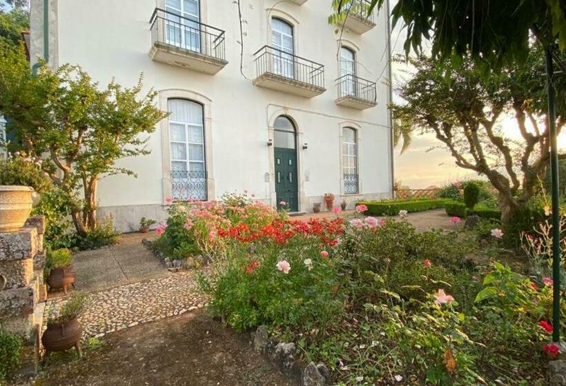 مبيت وإفطار Altíssima Guesthouse Penacova