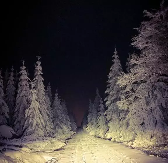 Aamiaismajoitus (B&B) Jáchymoff