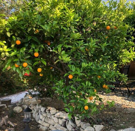 Bed and Breakfast La Hermosa Vista