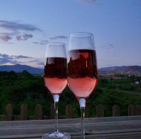 Bed and Breakfast La Hermosa Vista