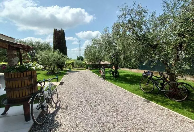 Le Zampolle B & B