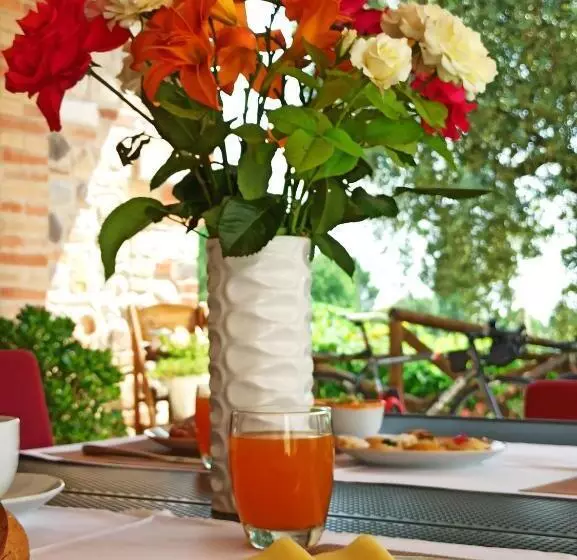 Le Zampolle B & B