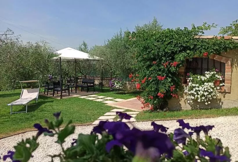Le Zampolle B & B