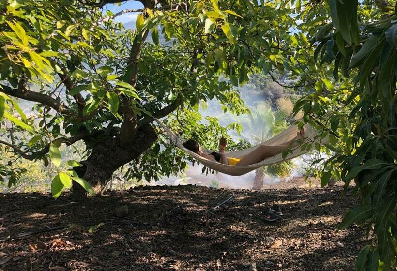 Пансион Villa Sunshine Countryside Resort