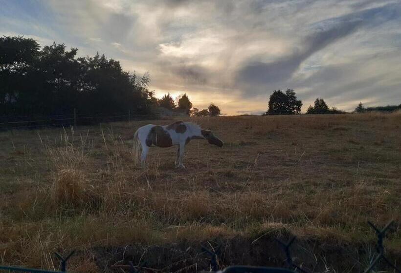 צימר Maison Blanche Piscine Et Petit Déjeuner