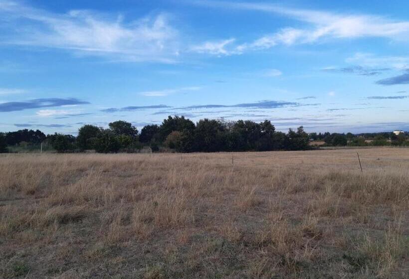 צימר Maison Blanche Piscine Et Petit Déjeuner