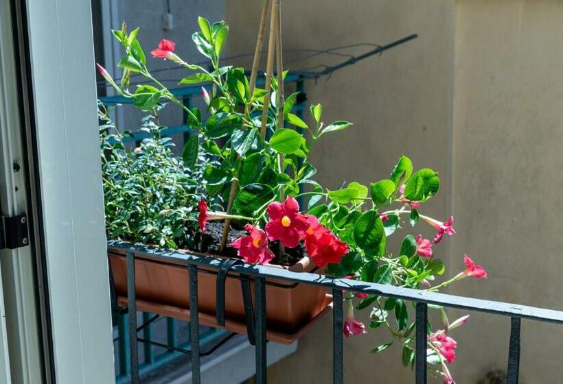 Bed and Breakfast Mandevilla Home