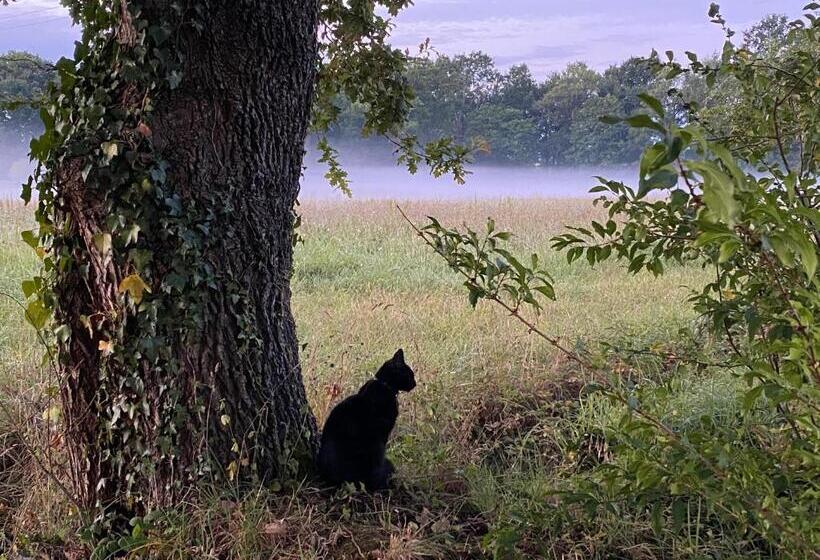 ペンション Aou Saintou