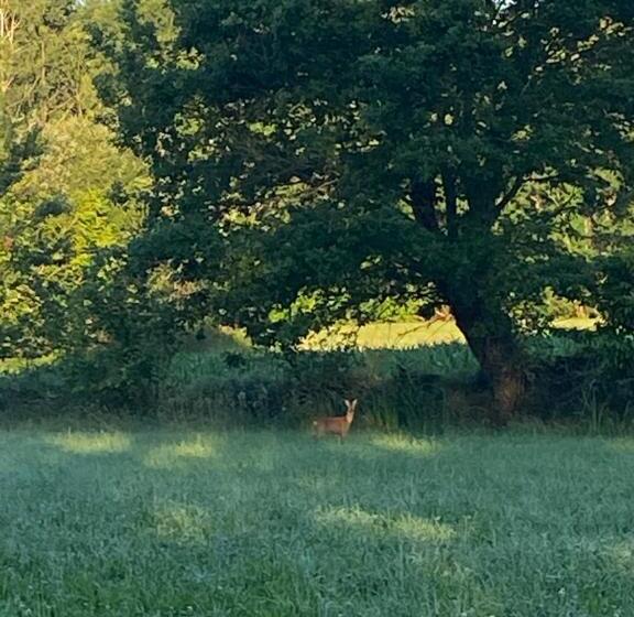 ペンション Aou Saintou