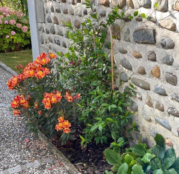 ペンション Aou Saintou