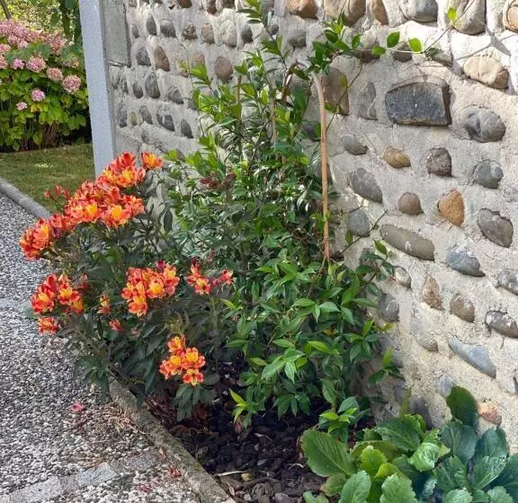 Majatalo Aou Saintou