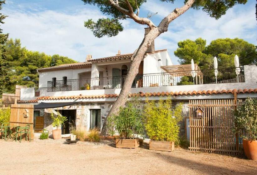 بنسيون Beija Flor