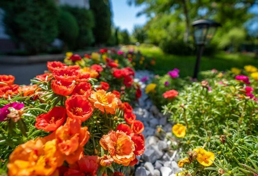 Пансион Vila Cataleya