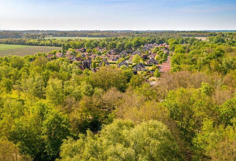 ベッドアンドブレックファースト Bglv