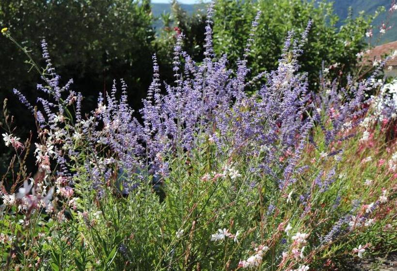 ベッドアンドブレックファースト Chambres D Hôtes Du Capimont